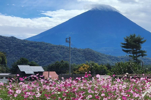 From Tokyo: Mt. Fuji & Hakone Private Scenic Day Tour