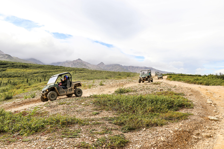 Denali: ATV Trailblazer Tour Single Passenger ATV