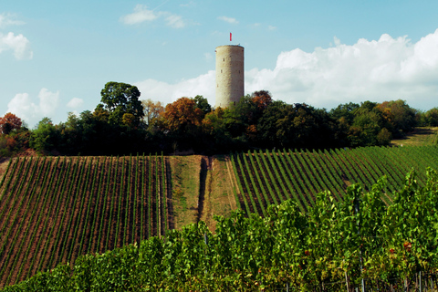 Sip Wine Along the Rhine - Grape Day out from Frankfurt