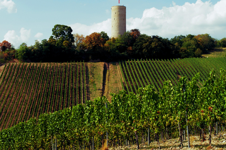 Sip Wine Along the Rhine - Grape Day out from Frankfurt