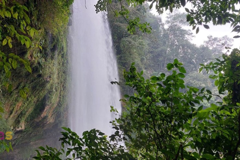 Z Palenque: wycieczka do wodospadów Misol-Ha i Agua Azul