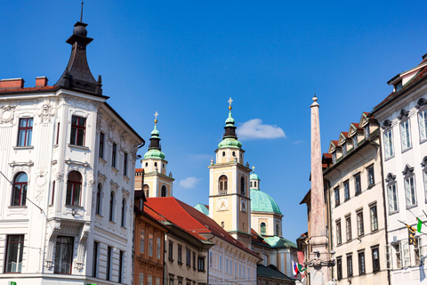 Ljubljana : Visite privée exclusive de l'histoire avec un expert local