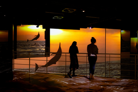 Hamburg: Port des Lumières – Ocean Wonders