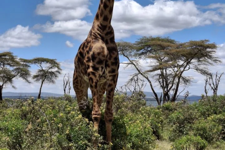 Nairobi: Lake Naivasha Boat Ride and Crescent Island Tour