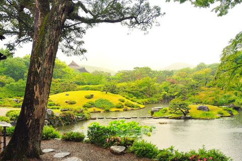 نارا: جولة في حدائق يوشيكين وإيسوئين مع حفل شاي