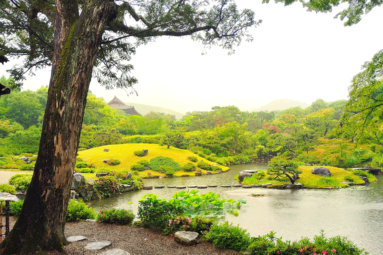 نارا: جولة في حدائق يوشيكين وإيسوئين مع حفل شاي