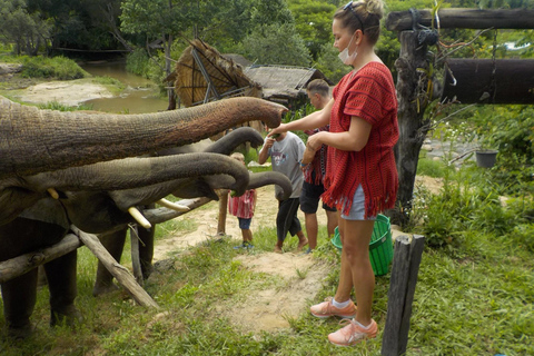 The Must-Do: Authentic Elephant & Village Life in Chiang Mai