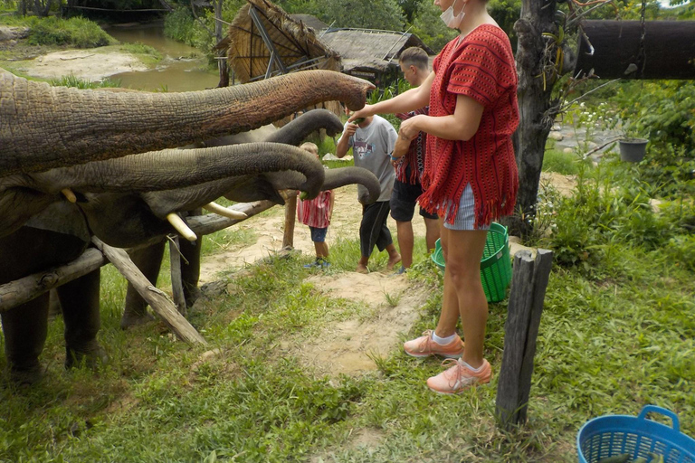 The Must-Do: Authentic Elephant & Village Life in Chiang Mai