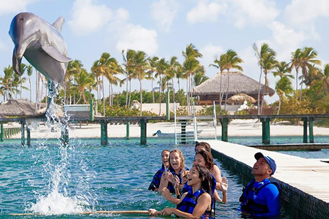 Aventura de nado com golfinhos em Punta Cana: Experiência com golfinhos de 40 minutos