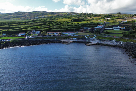 Tour di un giorno intero dell&#039;isola di Terceira