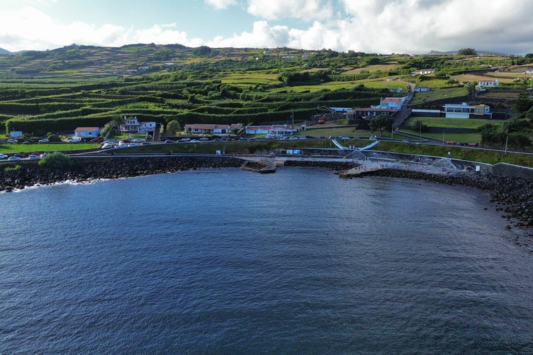 Tour di un giorno intero dell&#039;isola di Terceira