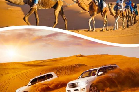 Doha: Safari de medio día por el desierto con paseo en camello y sandboarding