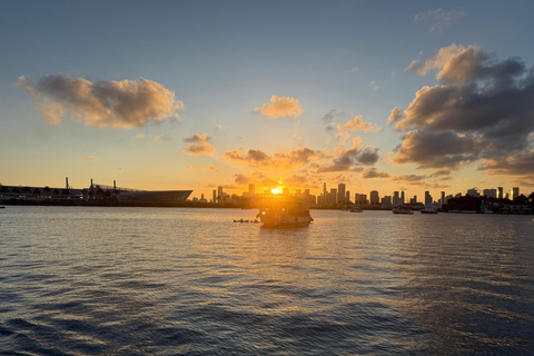 Miami Sunset Boat Tour: Celebrity Mansions & Skyline
