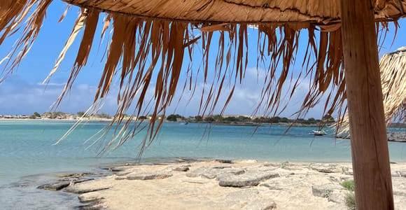 Kissamos: Elafonisi Beach Day Tour by MiniBus