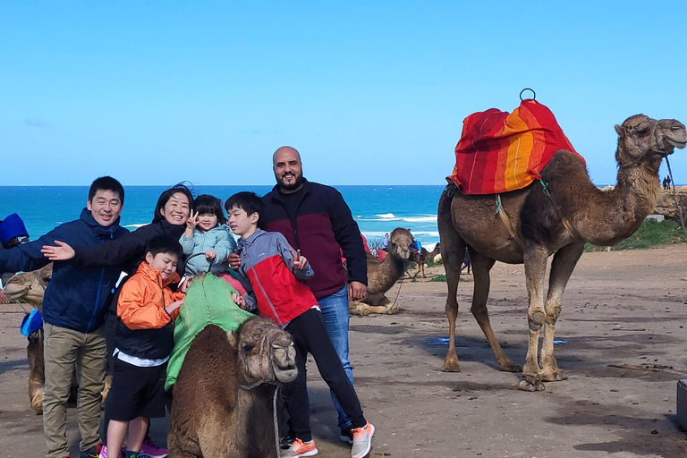 Camel Walk in Tangier