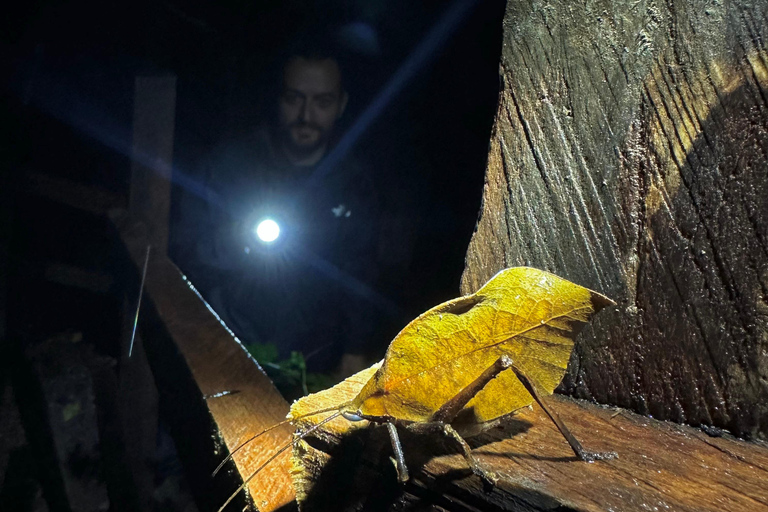 Monteverde: Night Tour with Night Vision Goggles