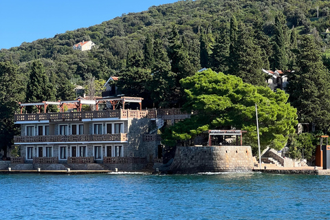 Azure Paradise : visite en bateau de la grotte bleue et de la baie de Kotor