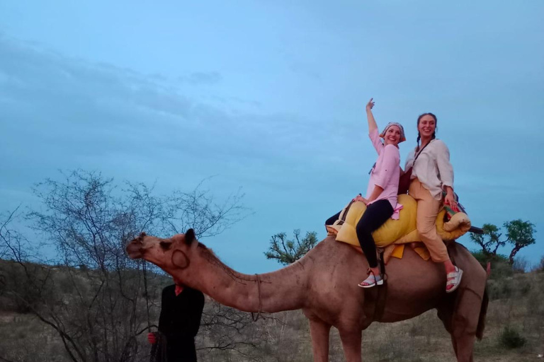 Le vrai safari à dos de chameau de Jodhpur dans le désert Wita Marwadi DinnerBalade à dos de chameau et repas