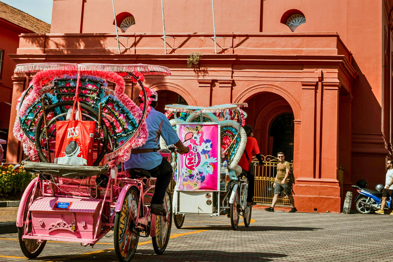 Au départ de Kuala Lumpur : excursion privée d&#039;une journée à MalaccaAu départ de Kuala Lumpur : visite privée d&#039;une journée à Malacca, ville historique
