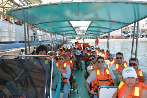 巴列斯塔斯群岛和帕拉卡斯保护区迷你越野车探险之旅巴列斯塔斯群岛与帕拉卡斯自然保护区迷你越野车探险之旅