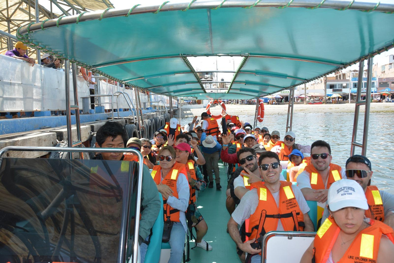 巴列斯塔斯群岛和帕拉卡斯保护区迷你越野车探险之旅巴列斯塔斯群岛与帕拉卡斯自然保护区迷你越野车探险之旅