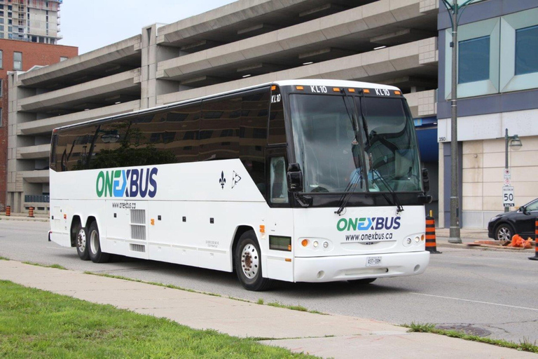 Aeroporto Pearson de Toronto: Ônibus direto de/para BramptonÔnibus simples de Brampton para o Aeroporto Pearson de Toronto