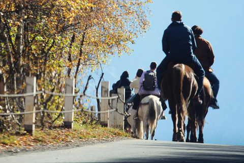 Kazbegi Horse Riding Tour to Arsha Waterfall