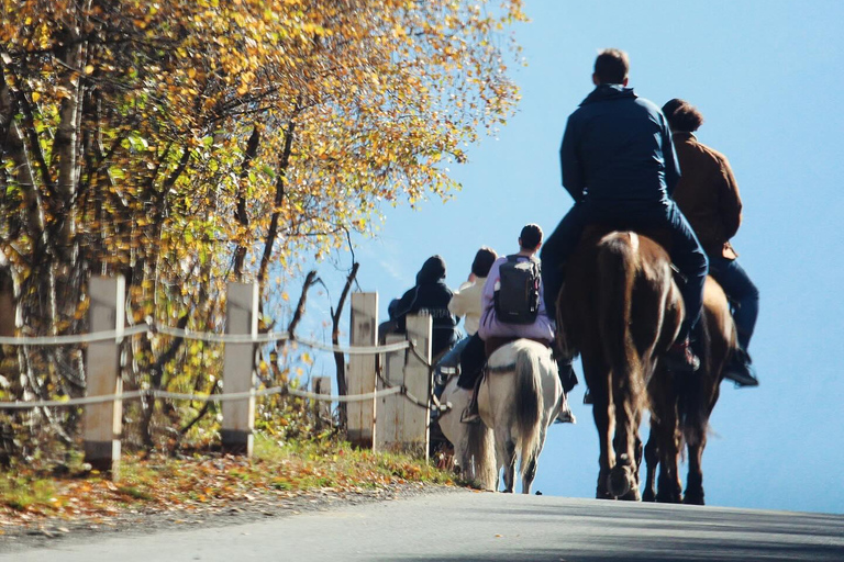 Kazbegi Horse Riding Tour to Arsha Waterfall