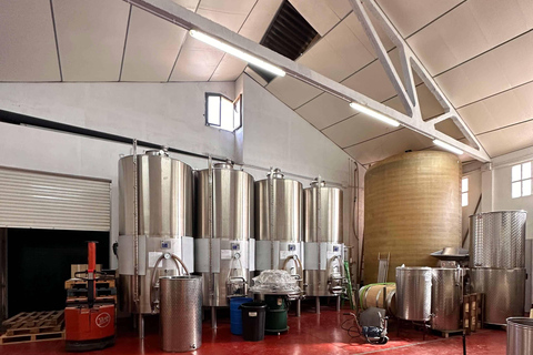 Tarragona: Tour of an underground winery with a tasting of 6 cavas and 6 wines Guided visit in English