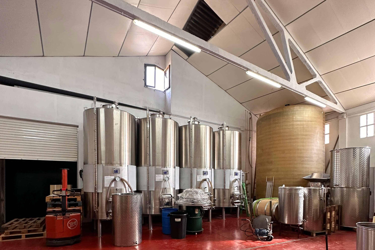 Tarragona: Tour of an underground winery with a tasting of 6 cavas and 6 wines Guided visit in English