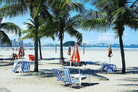 São Paulo: Santos & Guarujá Beach Day Tour (8h)