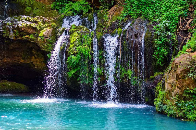 من نيروبي: تجربة جولة بيئية في وسط كينيا لمدة 5 أيام