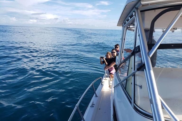 Bohol Dolphin Watching & Sea Turtle Swim Island Hopping Tour Pier – Meet-up Point