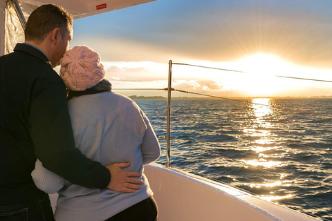 Brisbane: Moreton Bay Sunset Cruise with Drink and Snacks