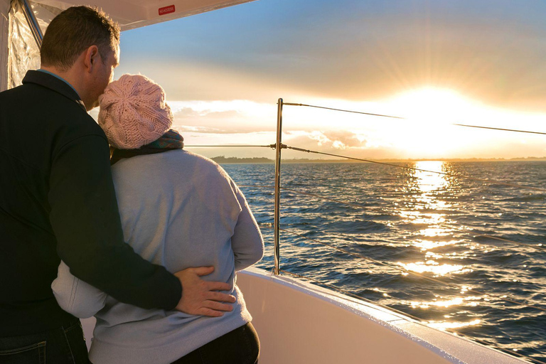Brisbane: Moreton Bay Sunset Cruise with Drink and Snacks