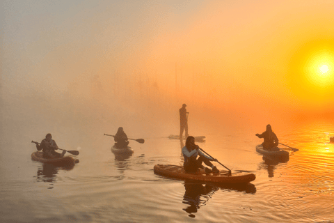 From Riga: Sunrise SUP Tour with Pick-Up at Cenas Tīrelis