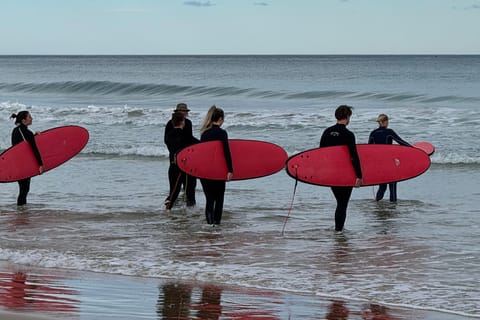 From Melbourne: 5-Day Snow to Surf Trip on Great Alpine Road - Image 2