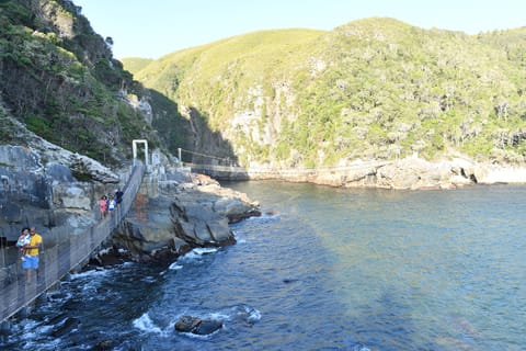 Cape Town: 7-Day Garden Route Eco-Friendly Tour