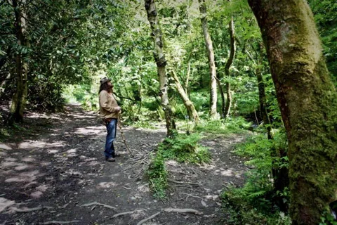 From Glastonbury: 2-Day Tintagel, Boscastle & Dartmoor Tour