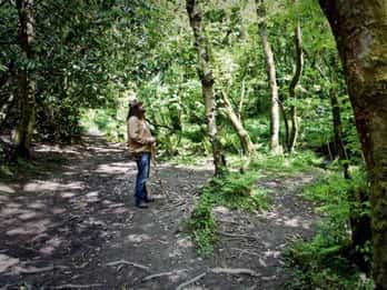 Da Glastonbury: tour di 2 giorni di Tintagel, Boscastle e Dartmoor
