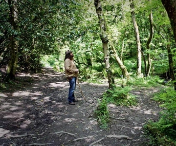 From Glastonbury: 2-Day Tintagel, Boscastle & Dartmoor Tour