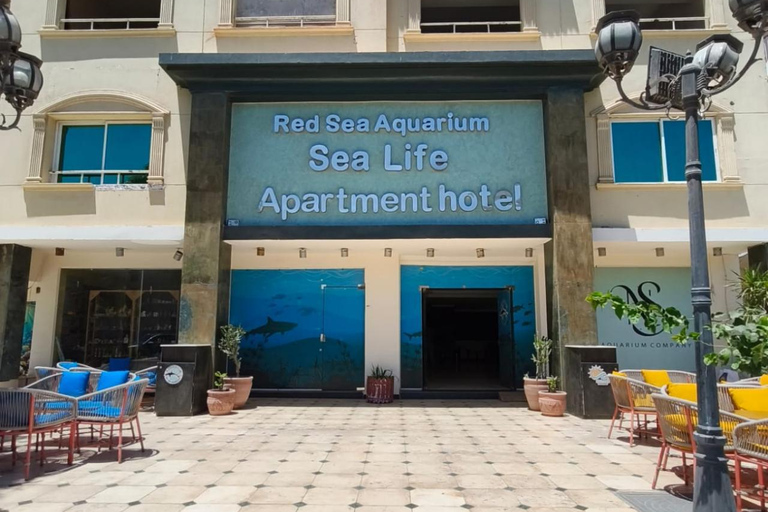 Hurghada: Hurghada City Tour with optional Red Sea Aquarium Group Hurghada City Tour