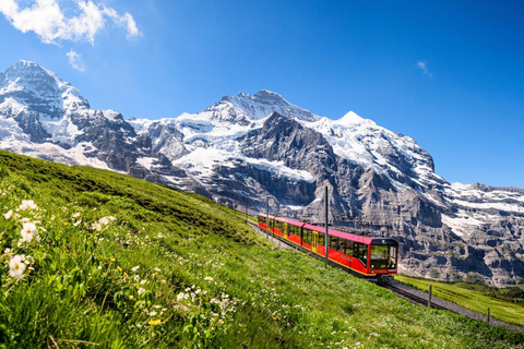 Spectacular ride to experience Jungfraujoch - Top of Europe Explore Jungfraujoch – Top of Europe from/to Grindelwald