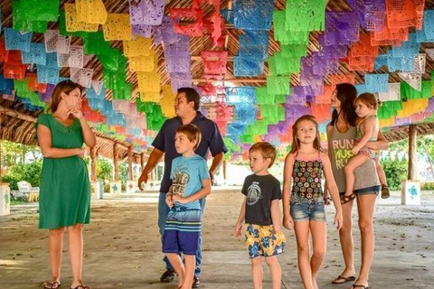 Private Cozumel Tour Your Way - Groups up to 4 People