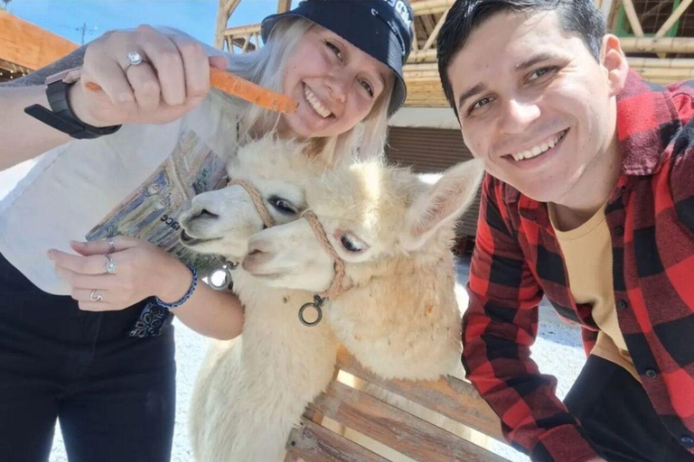 Medellín: Guatapé &amp; Piedra del Peñol Private Tour