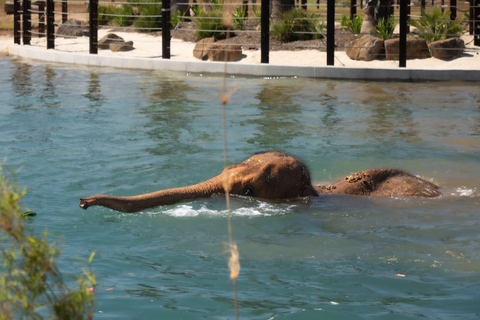 Werribee Open Range Zoo: Entry Ticket Weekends, Public & Victorian School Holidays