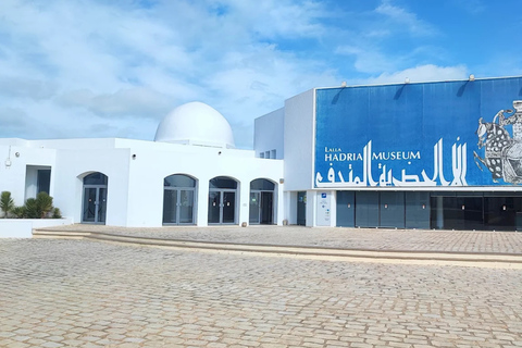 Djerba: Djerba Explore Experience with Crocodiles and Lella Hadhria Museum