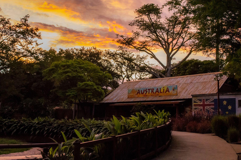 Billet d'accès au zoo de Cali