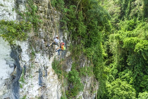 Krabi: Ziplining with Abseiling and Rock Climbing Options - Image 2
