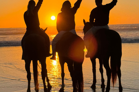 Taghazout: Private Horse Ride on Banana Beach with Pickup